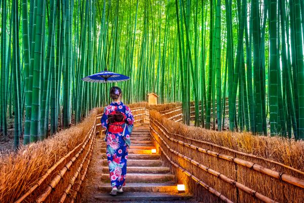 Japon – Traditions & modernité